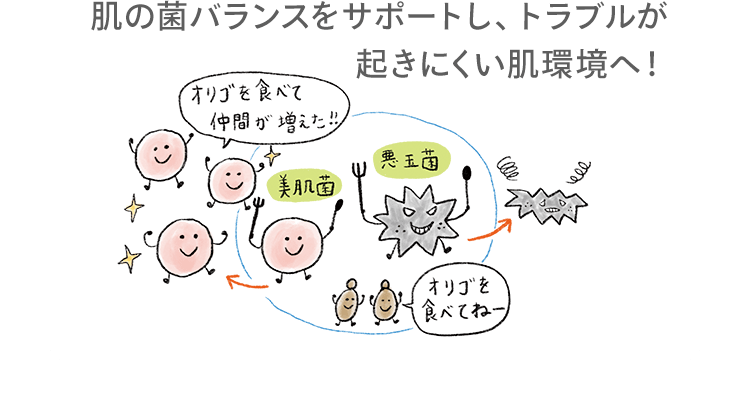 肌の菌バランスをサポートし、トラブルが起きにくい肌環境へ！