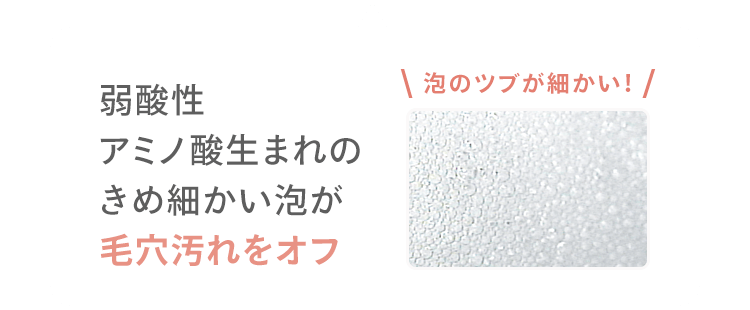 弱酸性 アミノ酸生まれの きめ細かい泡が 毛穴汚れをオフ ＼ 泡のツブが細かい！ /