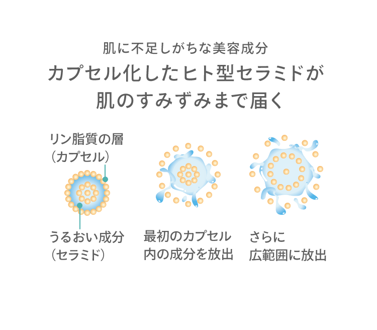 肌に不足しがちな美容成分 カプセル化したヒト型セラミドが 肌のすみずみまで届く リン脂質の層（カプセル） うるおい成分（セラミド） 最初のカプセル内の成分を放出 さらに広範囲に放出