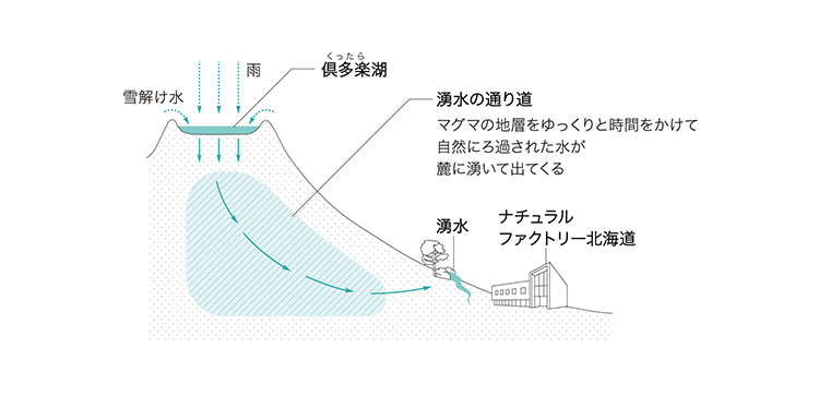 図