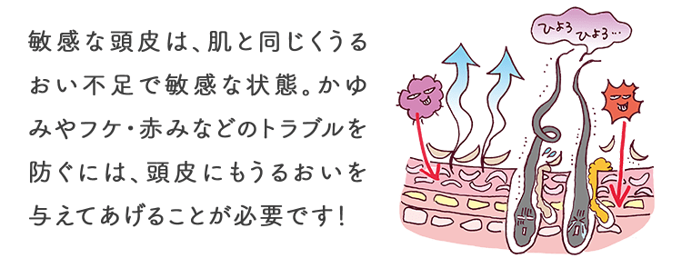 敏感な頭皮は、肌と同じくうるおい不足で敏感な状態。かゆみやフケ・赤みなどのトラブルを防ぐには、頭皮にもうるおいを与えてあげることが必要です！