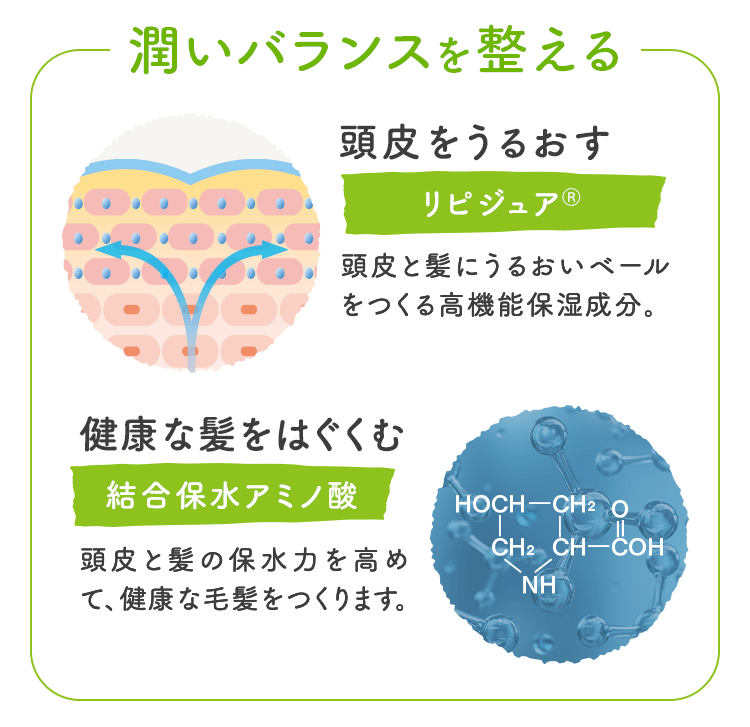 潤いバランスを整える 頭皮をうるおす リピジュアⓇ 皮脂の酸化を防ぐ ゲンチアナエキス