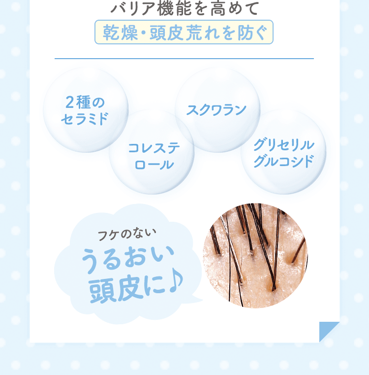 バリア機能を高めて乾燥・頭皮荒れを防ぐ