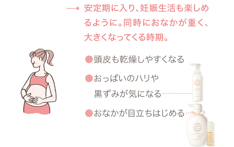 妊娠中機 → 安定期に入り、妊娠生活も楽しめるように。同時におなかが重く、大きくなってくる時期。 ●頭皮も乾燥しやすくなる ●おっぱいのハリや黒ずみが気になる ●おなかが目立ちはじめる