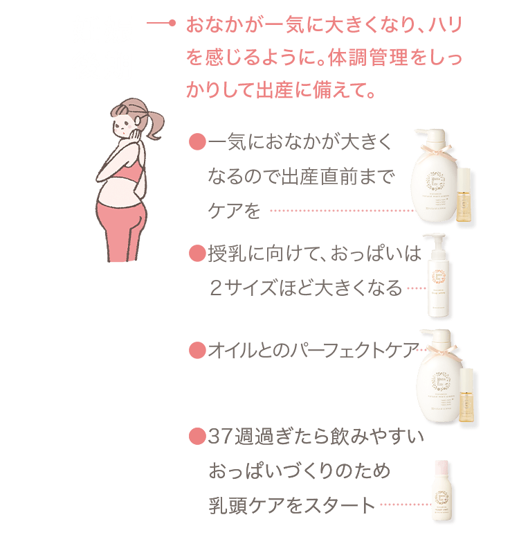 妊娠後期 → おなかが一気に大きくなり、ハリを感じるように。体調管理をしっかりして出産に備えて。 ●一気におなかが大きくなるので出産直前までケアを ●授乳に向けて、おっぱいは２サイズほど大きくなる ●37週過ぎたら飲みやすいおっぱいづくりのため乳頭ケアをスタート