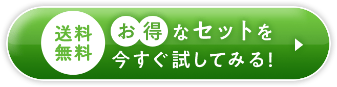 お得なセットを今すぐ試してみる！