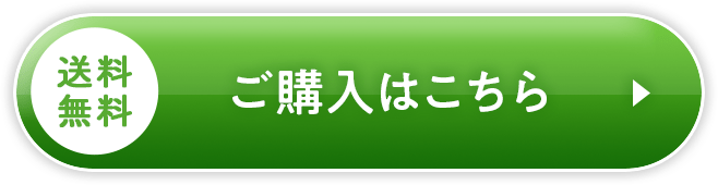 ご購入はこちら