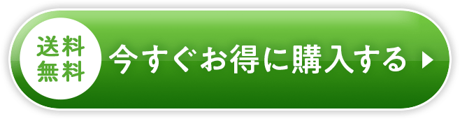 お得なセットを今すぐ試してみる！