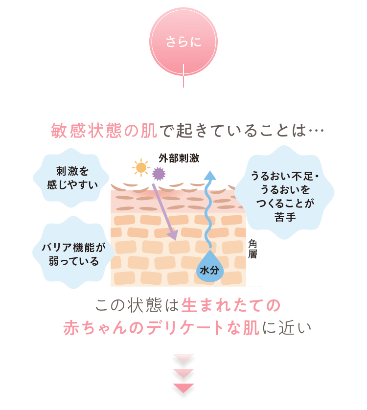 敏感状態の肌で起きていることは…刺激を感じやすい うるおい不足・うるおいをつくることが苦手 バリア機能が弱っている この状態は生まれたての赤ちゃんのデリケートな肌に近い