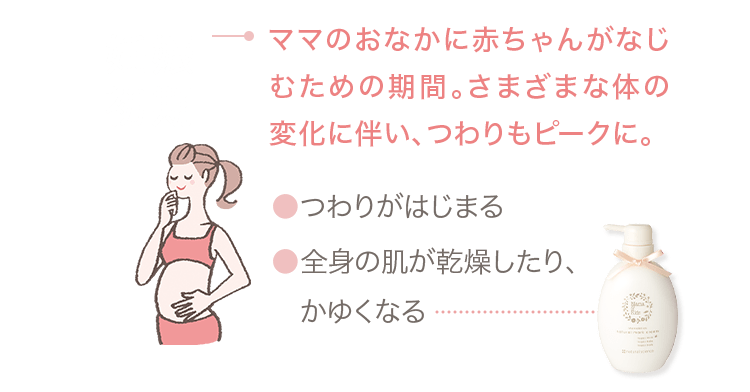 妊娠初期 → ママのおなかに赤ちゃんがなじむための期間。さまざまな体の変化に伴い、つわりもピークに。 ●つわりがはじまる ●全身の肌が乾燥したり、かゆくなる