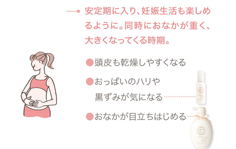 妊娠中機 → 安定期に入り、妊娠生活も楽しめるように。同時におなかが重く、大きくなってくる時期。 ●頭皮も乾燥しやすくなる ●おっぱいのハリや黒ずみが気になる ●おなかが目立ちはじめる