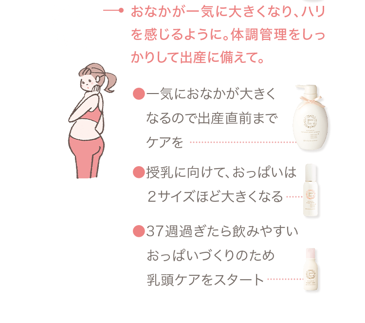 妊娠後期 → おなかが一気に大きくなり、ハリを感じるように。体調管理をしっかりして出産に備えて。 ●一気におなかが大きくなるので出産直前までケアを ●授乳に向けて、おっぱいは２サイズほど大きくなる ●37週過ぎたら飲みやすいおっぱいづくりのため乳頭ケアをスタート