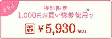 さらに 1,000円お買い物券使用で 送料無料 ¥5,930（税込）