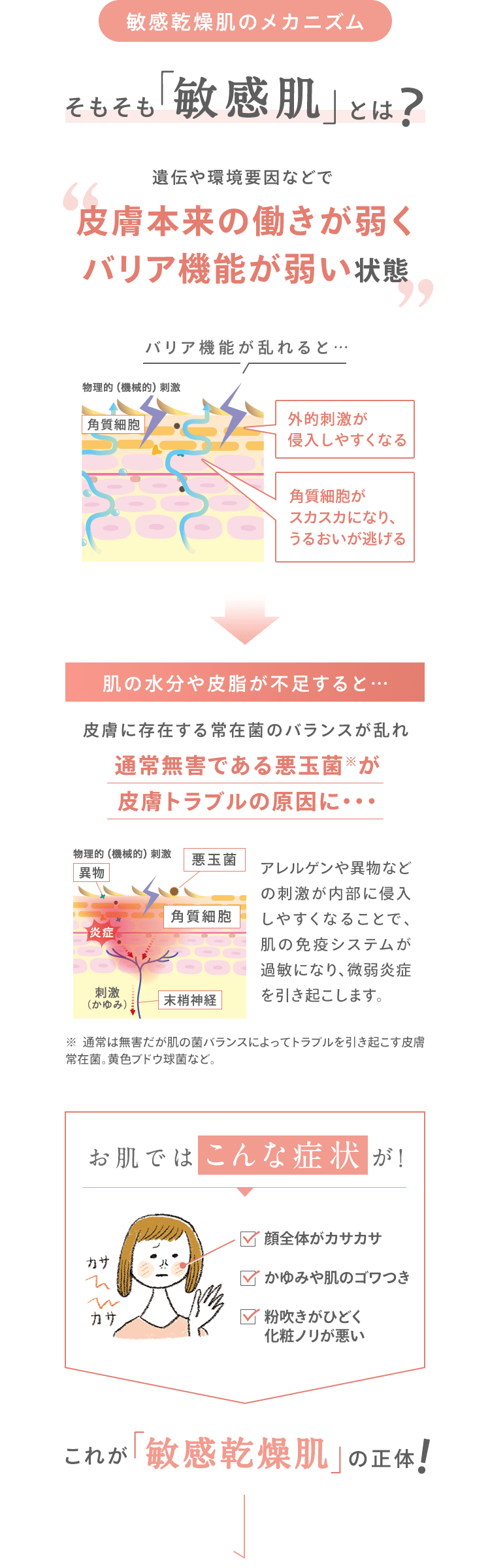 [敏感乾燥肌のメカニズム] そもそも「敏感肌」とは？ 遺伝や環境要因などで 皮膚本来の働きが弱く バリア機能が弱い状態