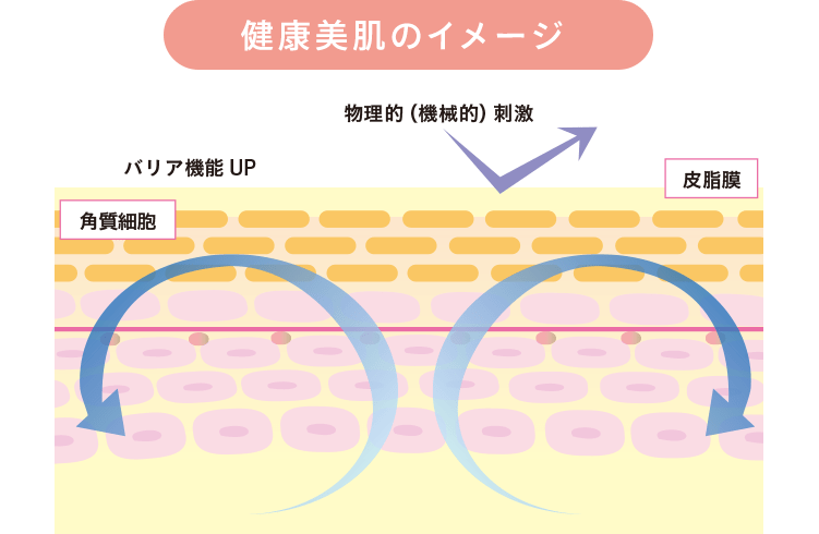 [健康美肌のイメージ] 