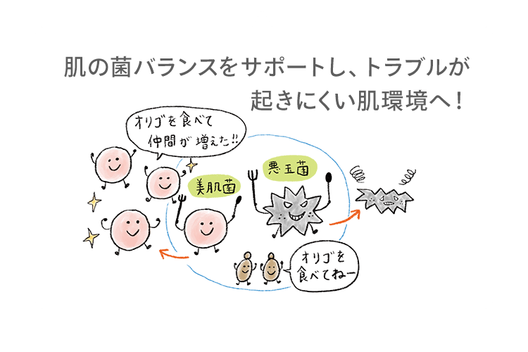 肌の菌バランスをサポートし、トラブルが 起きにくい肌環境へ！