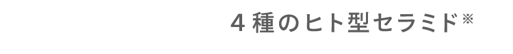 ４種のヒト型セラミド※