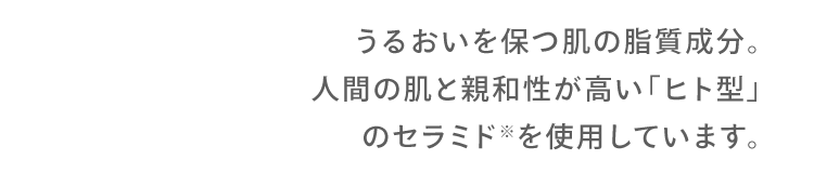 うるおいを保つ肌の脂質成分。 人間の肌と親和性が高い「ヒト型」のセラミド※を使用しています。