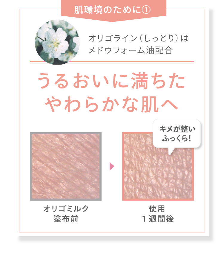 [肌環境のために①] オリゴライン（しっとり）は メドウフォーム油配合 うるおいに満ちた やわらかな肌へ 