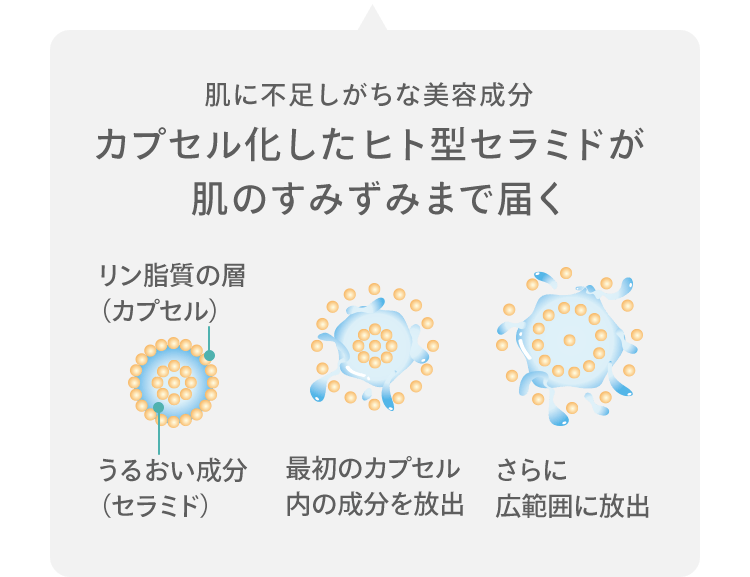 肌に不足しがちな美容成分 カプセル化したヒト型セラミドが 肌のすみずみまで届く リン脂質の層（カプセル） うるおい成分（セラミド） 最初のカプセル内の成分を放出 さらに広範囲に放出