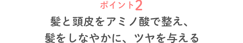 ポイント2 髪と頭皮をアミノ酸で整え、髪をしなやかに、ツヤを与える