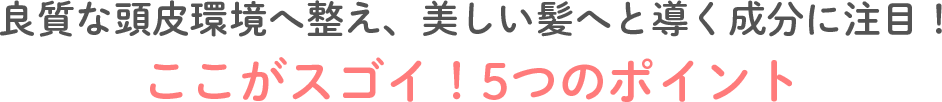 良質な頭皮環境へ整え、美しい髪へと導く成分に注目！