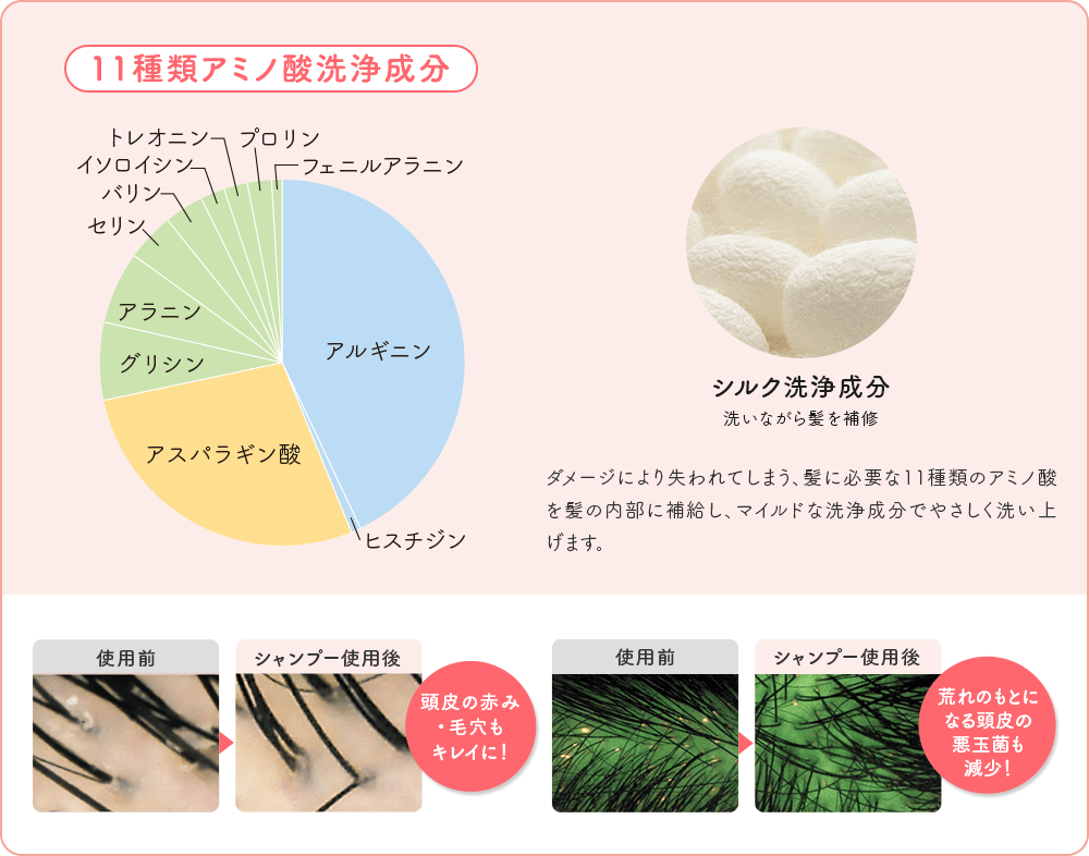 11種類アミノ酸洗浄成分