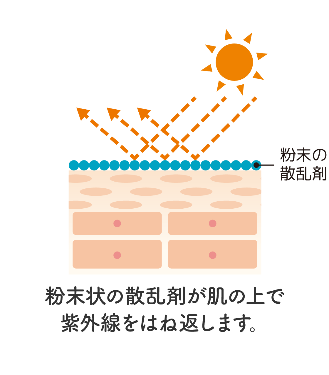 粉末状の散乱剤が肌の上で紫外線をはね返します。
