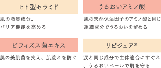 ヒト型セラミド、うるおいアミノ酸、ビフィズス菌エキス、リピジュア®
