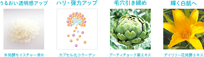 米発酵モイスチャー液(R) カプセル化コラーゲン アーティチョーク葉エキス デイリリー花発酵エキス