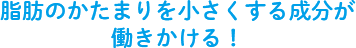 脂肪のかたまりを小さくする成分が働きかける！