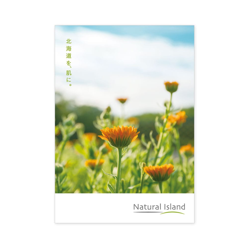 ナチュラルアイランド 総合カタログ