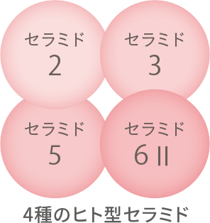 4種のヒト型セラミド
