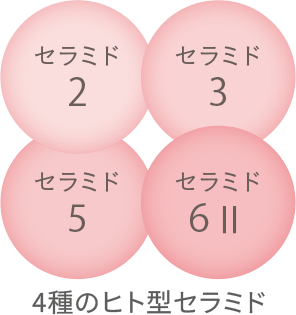 4種のヒト型セラミド