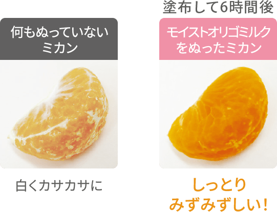 何もぬっていないミカン 白くカサカサに 塗布して6時間後の、モイストオリゴミルクをぬったミカン しっとりみずみずしい