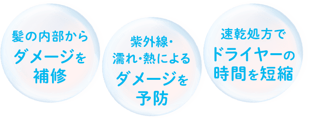 髪の内部からダメージを補修 紫外線・濡れ・熱によるダメージを予防 速乾処方でドライヤーの時間を短縮