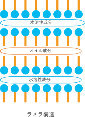 ラメラ構造のイメージ