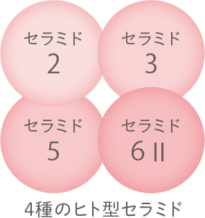 4種のヒト型セラミド