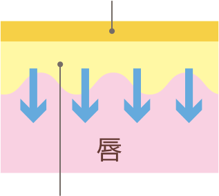 紫外線から守る図