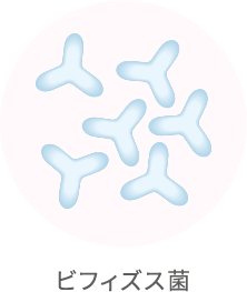 ビフィズス菌