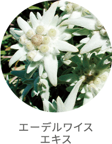 エーデルワイズエキス
