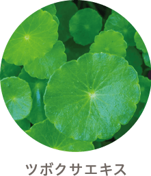 ツボクサエキス