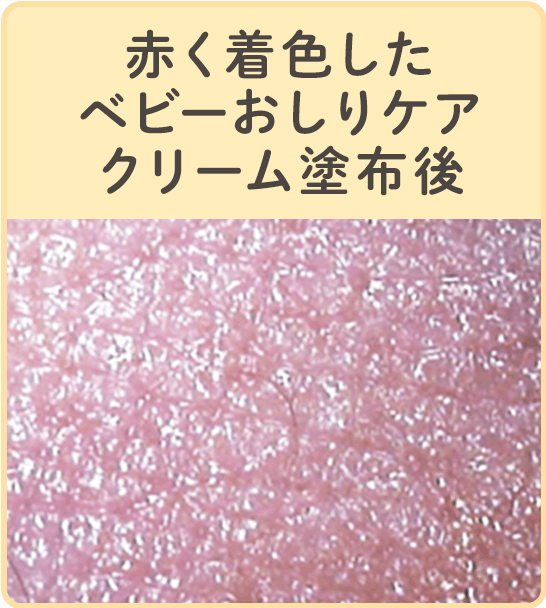 洗浄前
