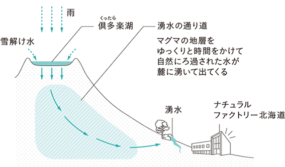 倶多楽湖の湧水がナチュラルファクトリー北海道に届くまで