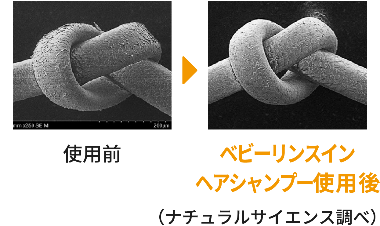 使用前とベビーリンスインヘアシャンプー使用後の比較写真（ナチュラルサイエンス調べ）