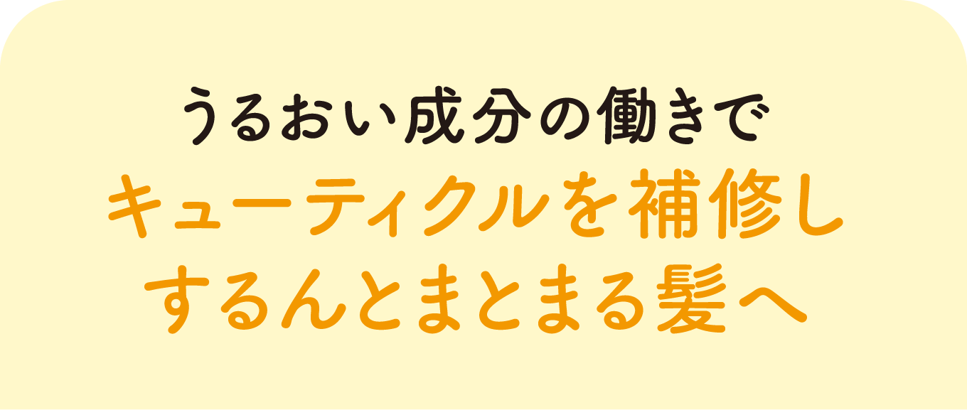 うるおい成分の働きでキューティクルを補修しするんとまとまる髪へ
