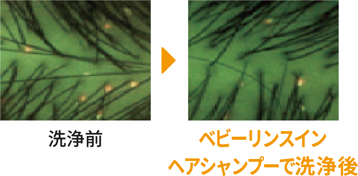 洗浄前とベビーリンスインヘアシャンプー洗浄後の比較写真