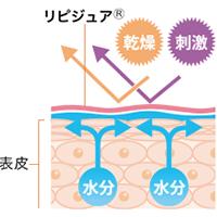 リピジュア