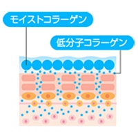 ダブルコラーゲン