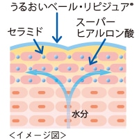 リピジュアの効果イメージ